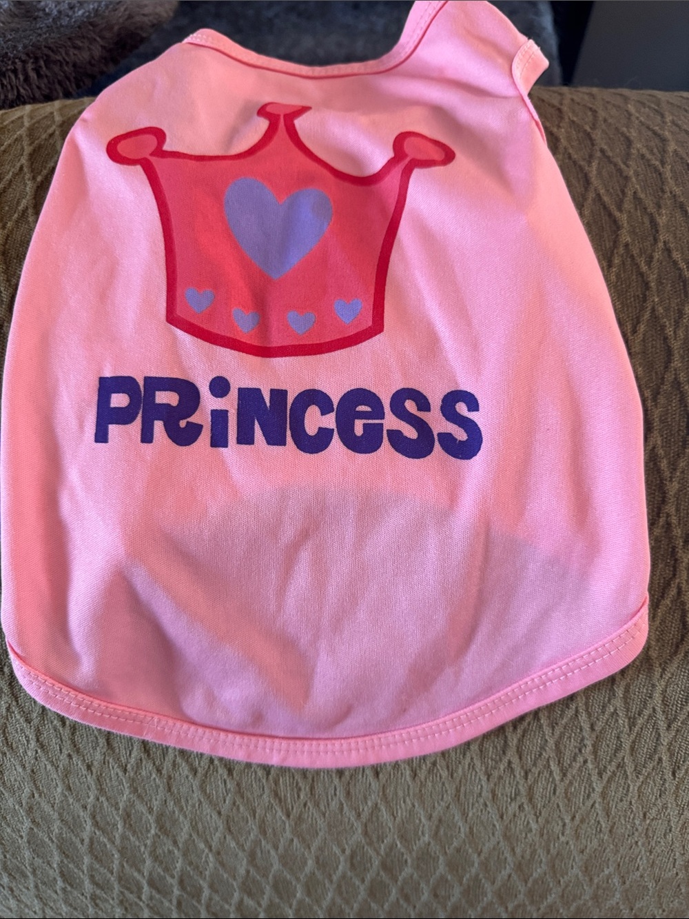 Little dogs princess outfit